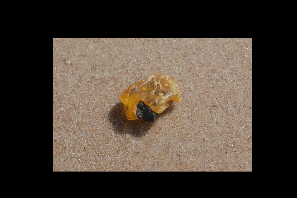 Fragment bursztynu w środowisku naturalnym na tle piasku plażowego.