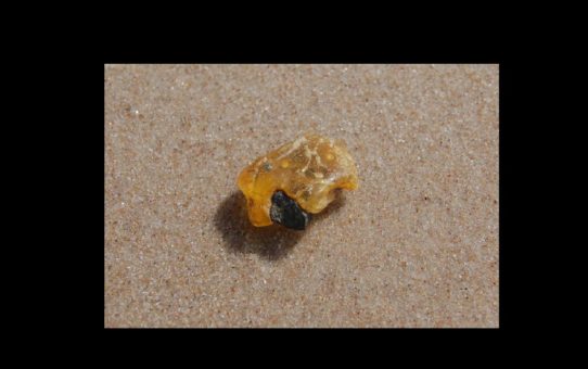 Fragment bursztynu w środowisku naturalnym na tle piasku plażowego.