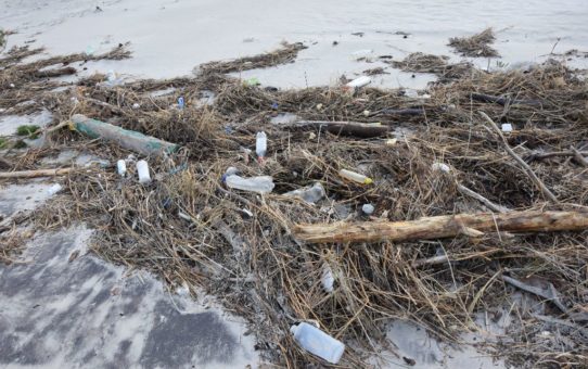 Odpadki naturalne i śmieci komunalne wyrzucone na plaże przez fale morskie. Na piasku widać między innymi butelki plastikowe, gałęzie i szczątki roślinne.