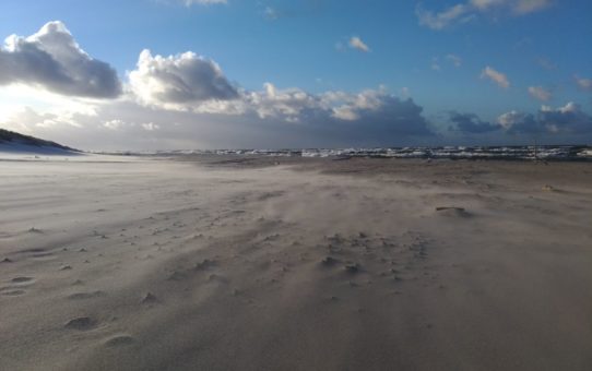 W pogodny, jesienny dzień, kilka centymetrów nad plażą, widoczna jest delikatna mgiełka. To drobne ziarenka piasku, poderwane z plaży pod wpływem wiatru.