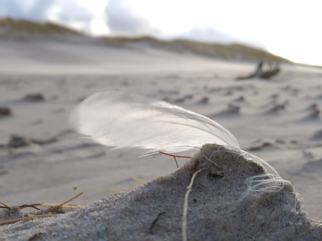 Mikroforma z piasku na plaży, a na jej szczycie, niczym flaga, powiewa białe piórko.