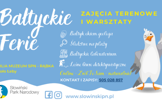 Plakat informujący o programie zajęć edukacyjnych w Rąbce koło Łeby w czasie ferii zimowych w styczniu 2023r.