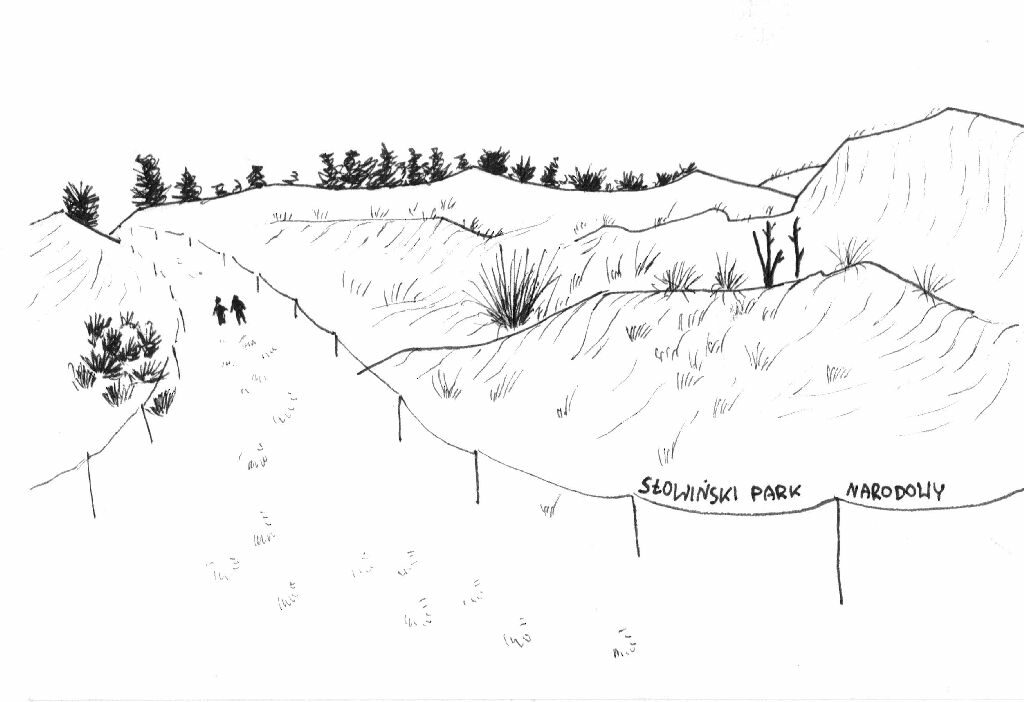 Grafika w kolorze czarnym przedstawiająca szlak przez wydmę wygrodzony słupkami i sznurem. Na szlaku idąca para osób, w tle korony drzew iglastych.

