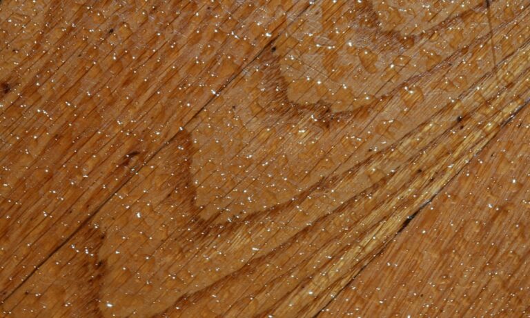 Betulina - Czym jest biały barwnik kory brzozy i jakie ma właściwości?