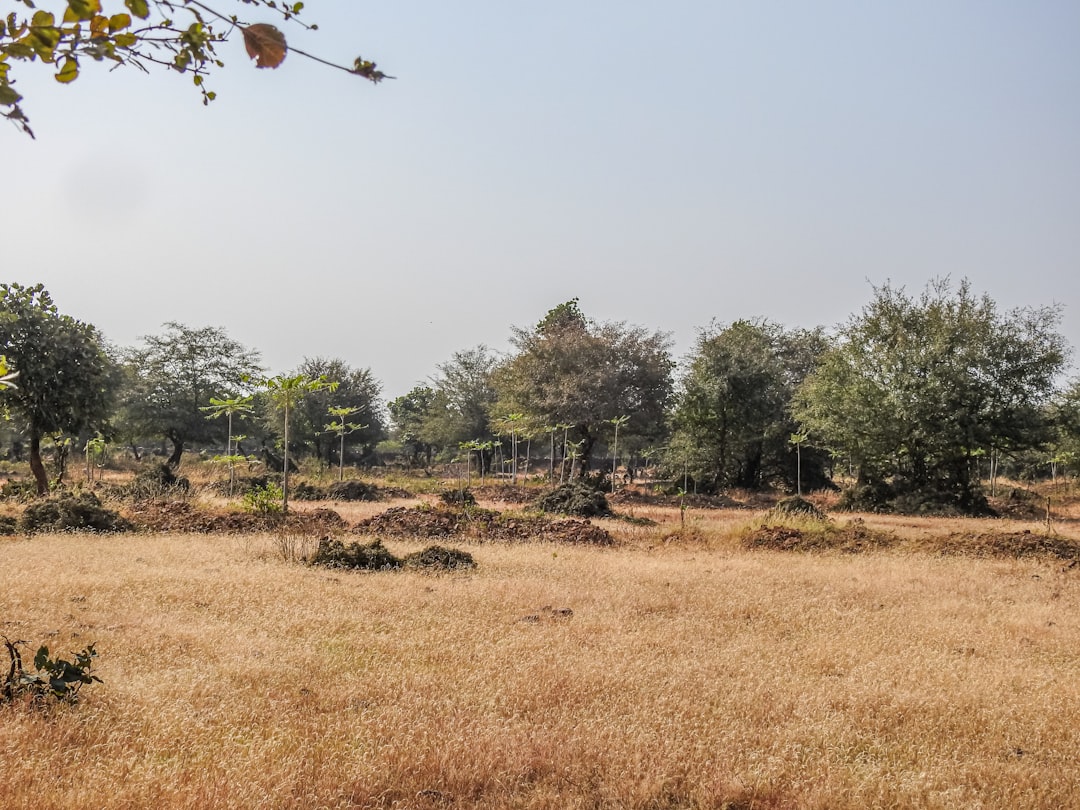 Metoda Jarkwaka - Na czym polega waloryzacja krajobrazu i do czego służy?