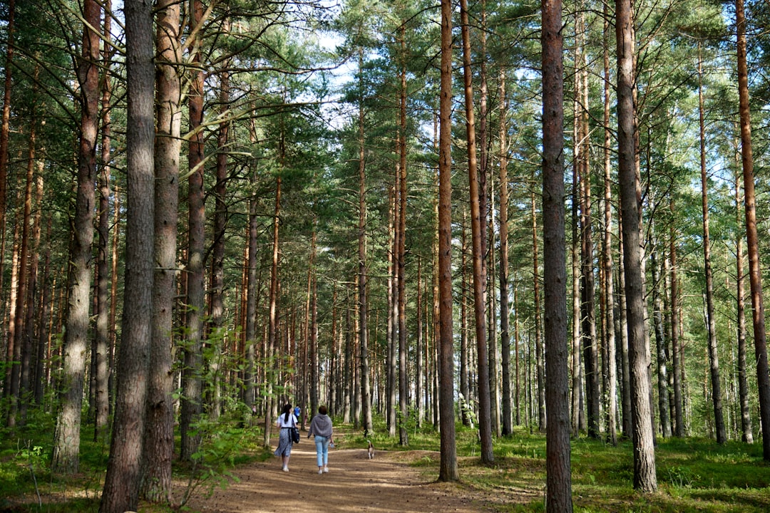 Puszcza Kampinoska - Odkryj unikalną florę i faunę "płuc Warszawy"