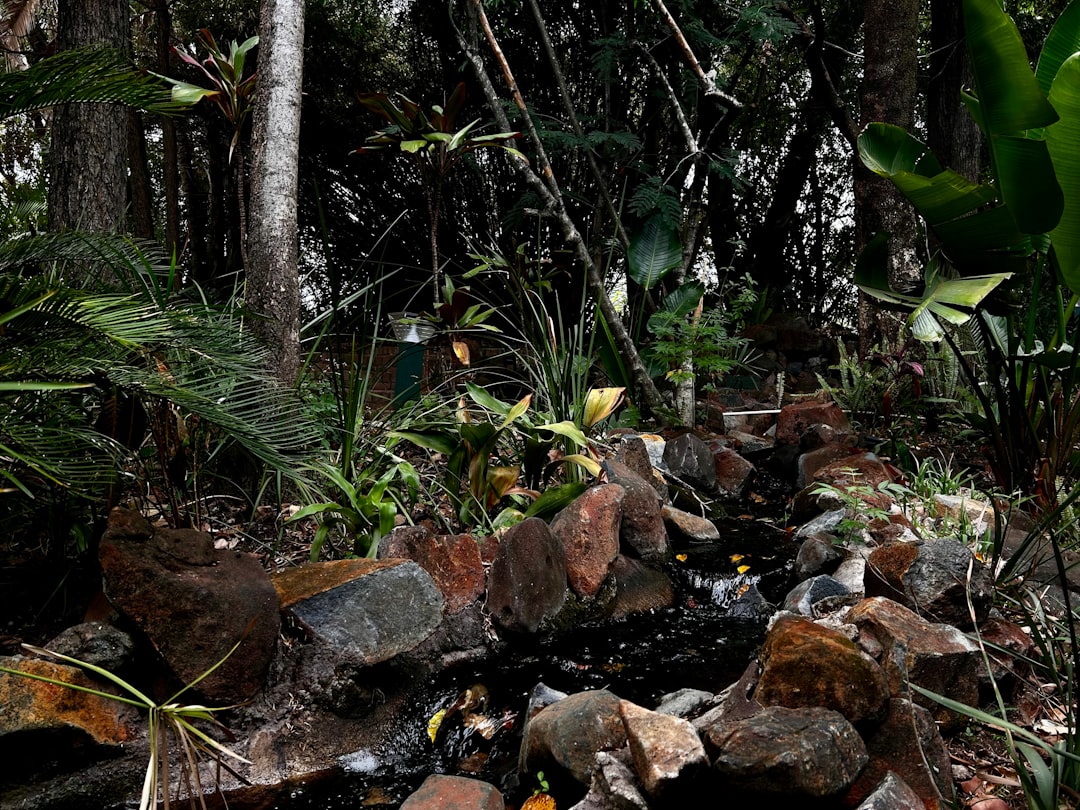 Skażenia przemysłowe - Jaki mają wpływ na zdrowie lasów i gleby?