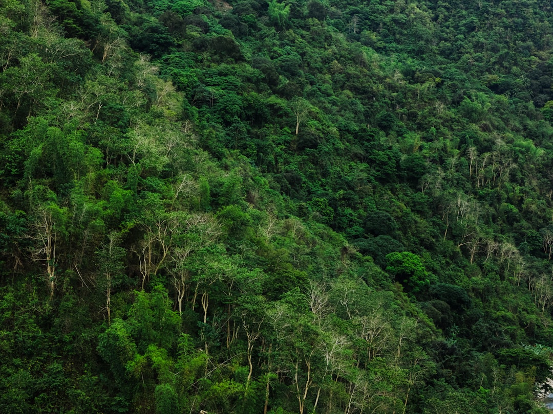 Wpływ człowieka na ekosystem - Jak nasze działania zmieniają przyrodę?