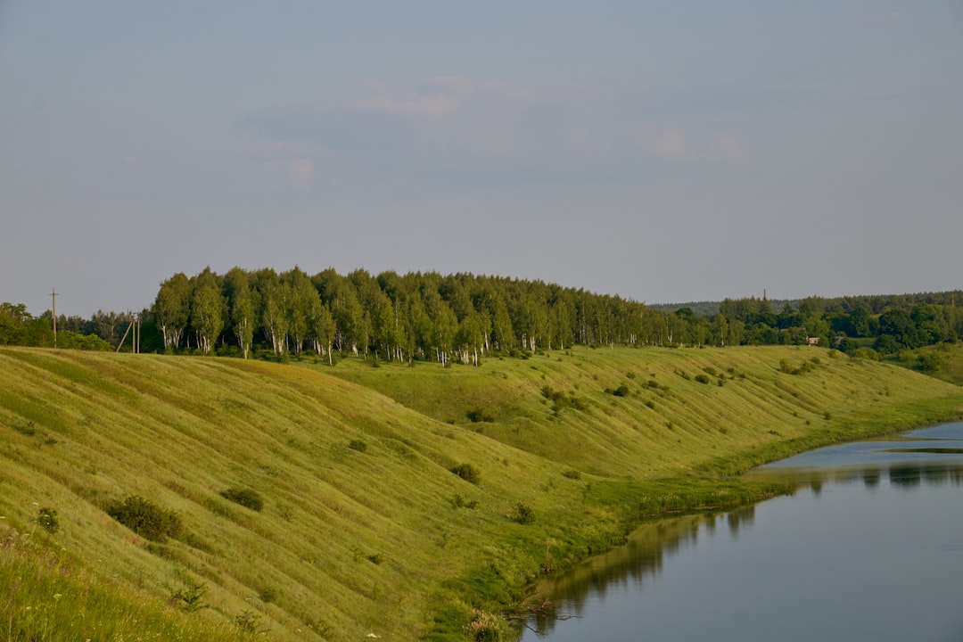 Zwierzęta wędrowne - Nie tylko ptaki. Poznaj trasy migracji ssaków i ryb w Polsce